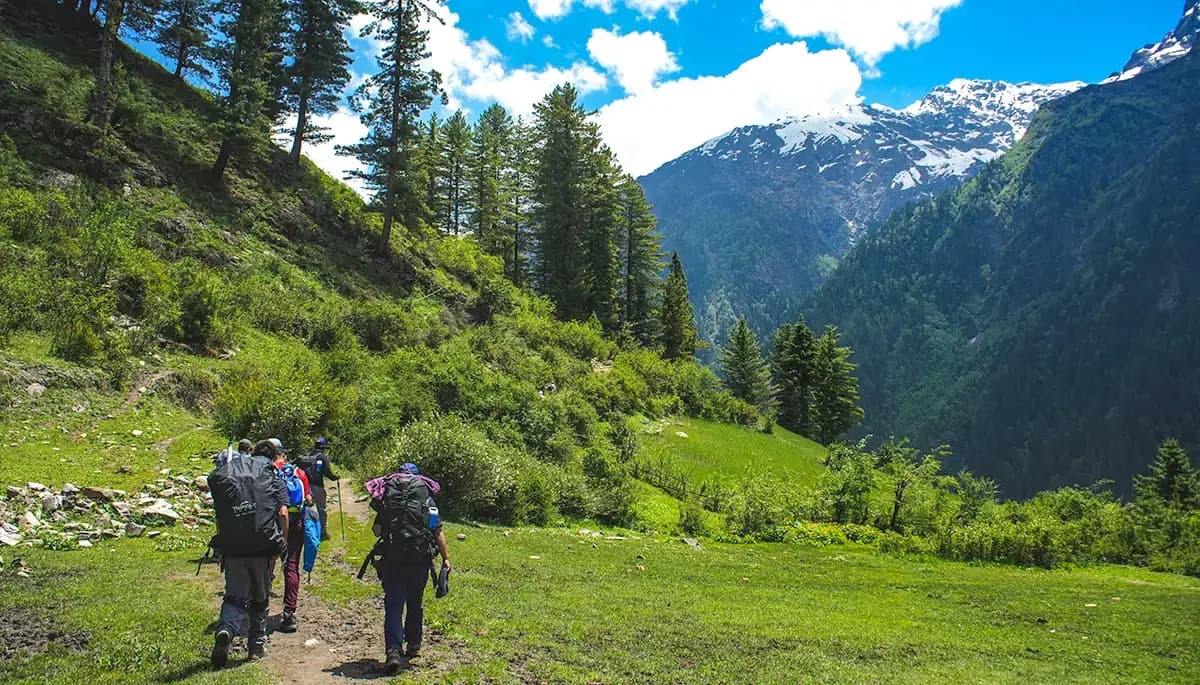 Wide alpine meadows and dense rhododendron forests