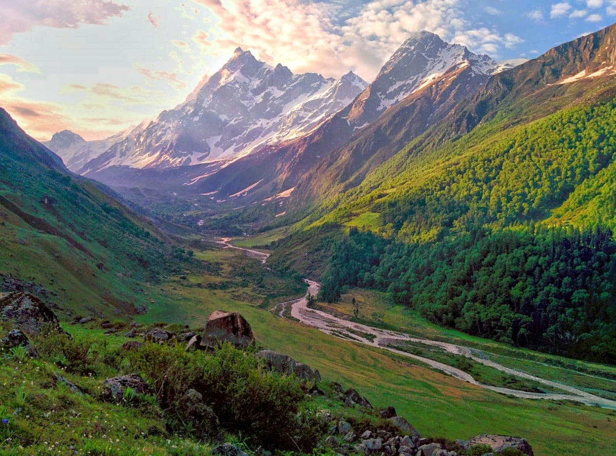 Wildlife sightings — Himalayan monal and snow leopard tracks