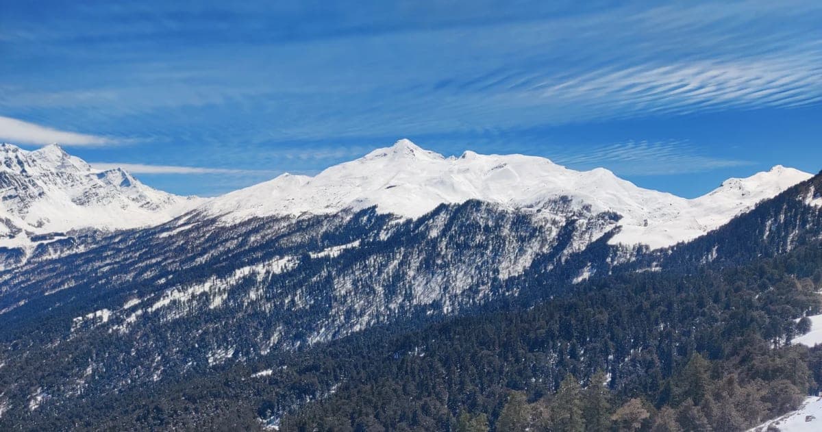 Pangarchulla summit at 4,700m