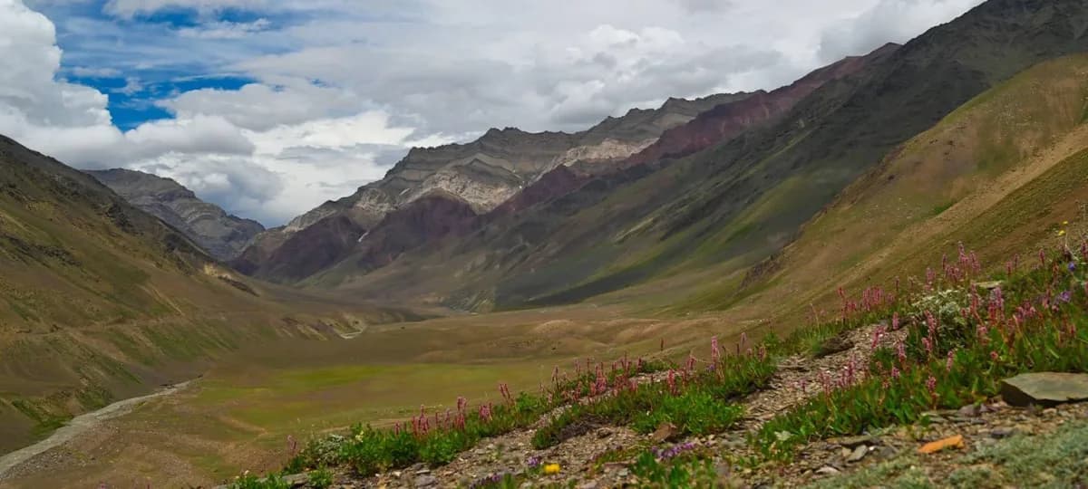 Snow leopard habitat