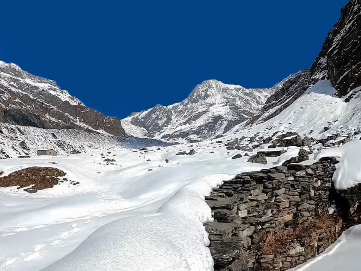 Pindari Glacier c