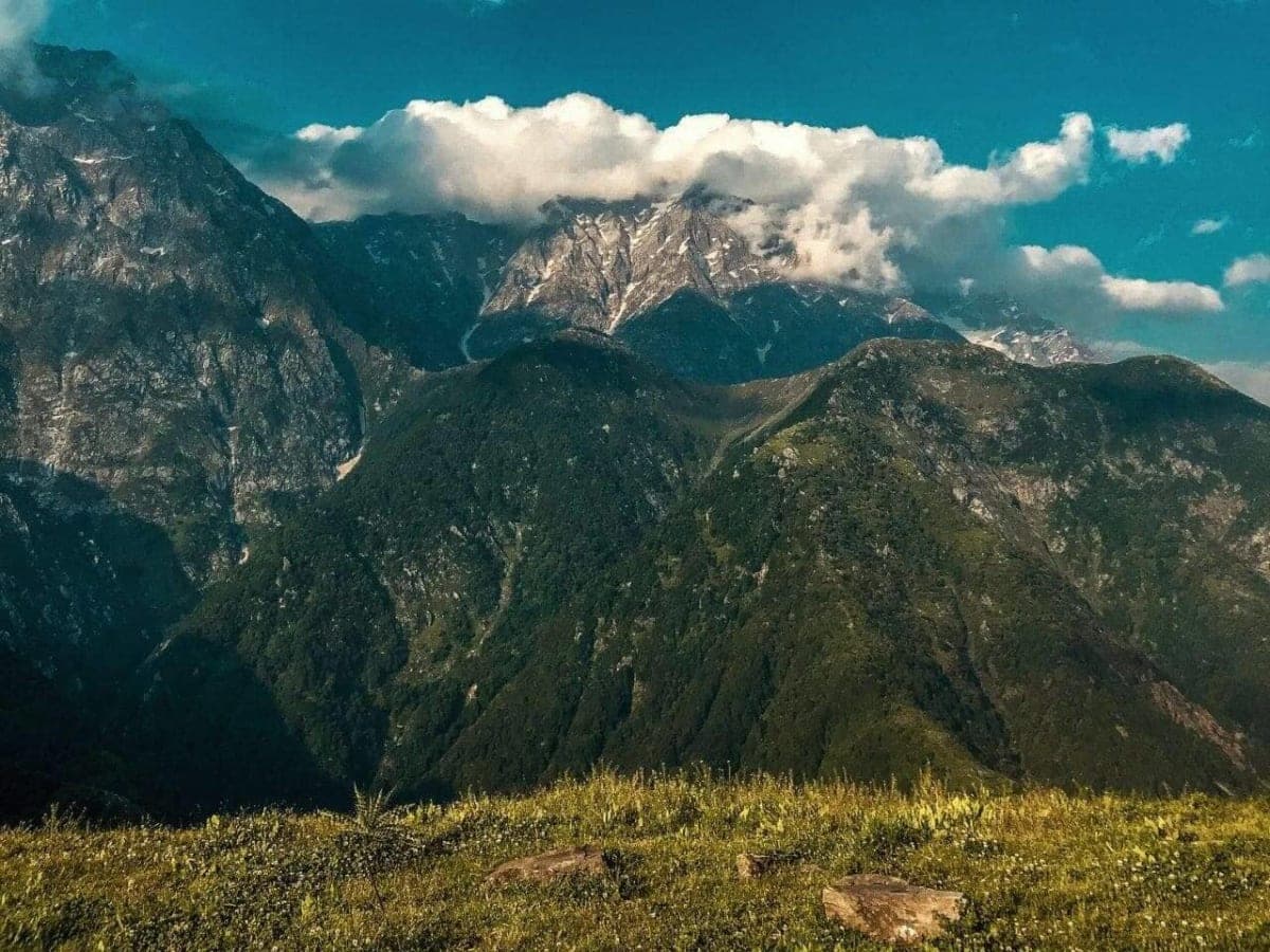 Dense Himalayan forests