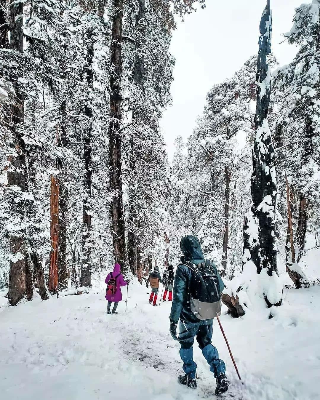 Kedarkantha trekker moment 4