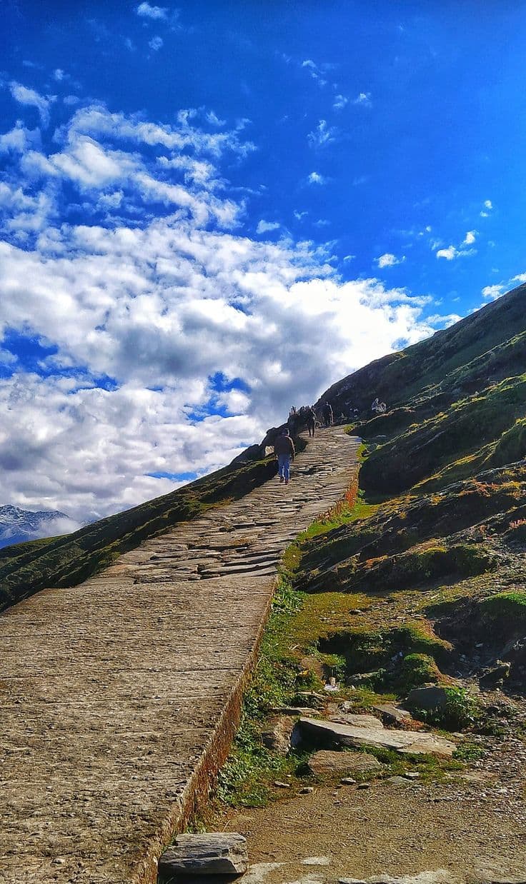 Chopta forest trail