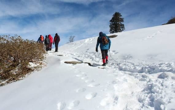 Trekkers walking on trail